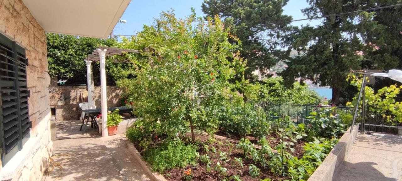 Apartment "Orangina" Sea - Nature - Relax - Ideal For Couples Dubrovnik Ngoại thất bức ảnh